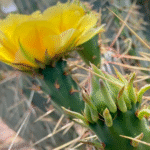 Two Months Back at Work: Finding My Rhythm Again