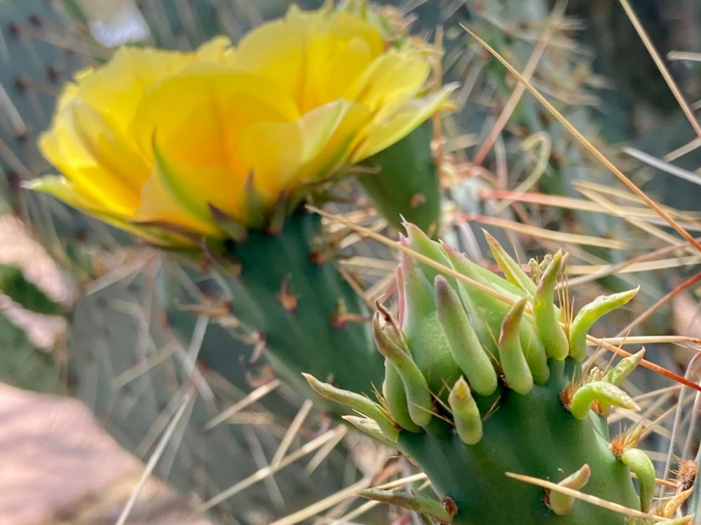 Read more about the article Two Months Back at Work: Finding My Rhythm Again